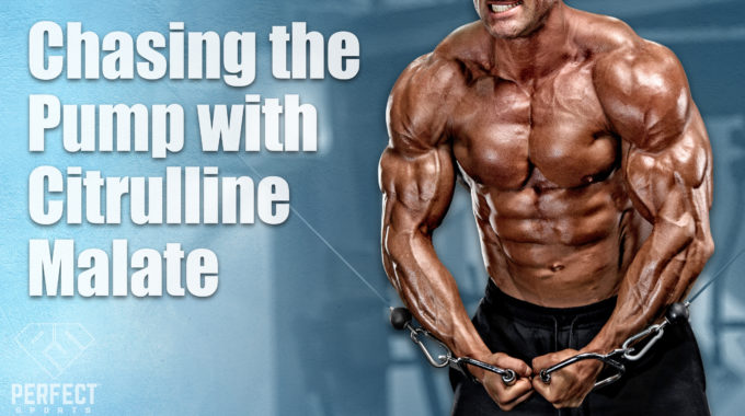 Chasing The Pump With Citruline Malate