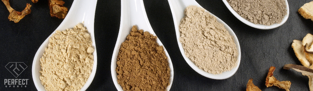 grains, wheat and other ingredients in scoops and in raw form overhead view