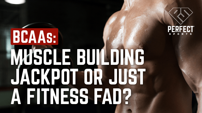 BCAA Muscle Building Jackpot Or Just A Fitness Fad Article For PERFECT Sports