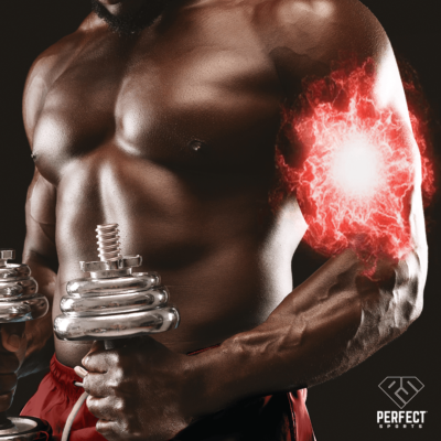 BCAA Muscle Building Jackpot or Just a Fitness Fad Article for PERFECT Sports